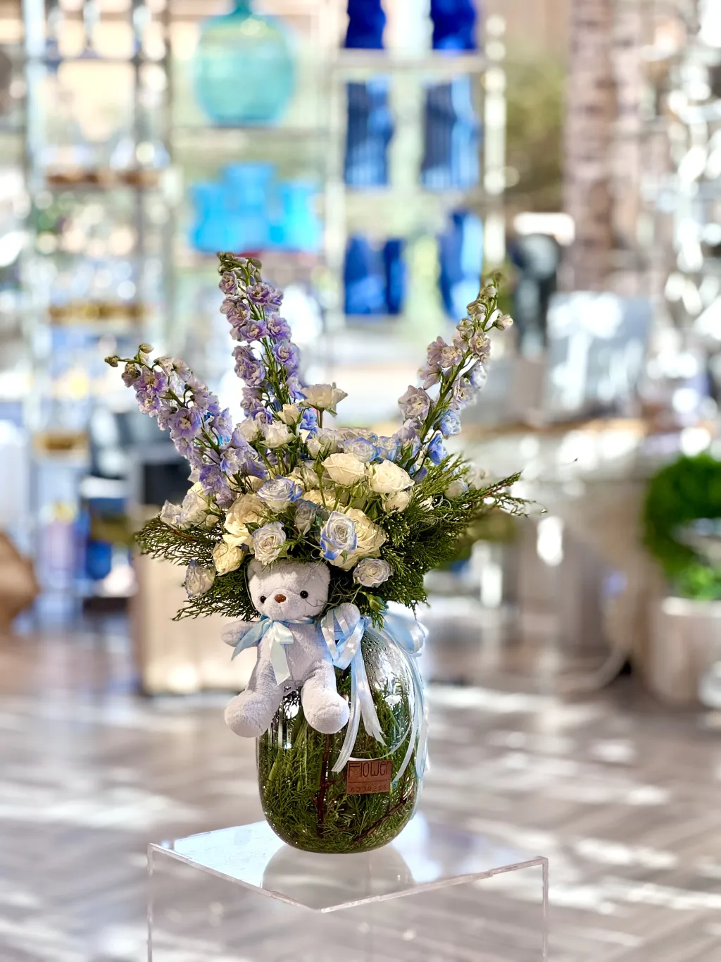 تنسيق البيبي دلفنيوم